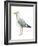 Sea Bird II-Grace Popp-Framed Art Print