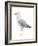 Sea Bird II-Grace Popp-Framed Art Print