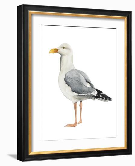 Sea Bird II-Grace Popp-Framed Art Print