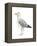 Sea Bird II-Grace Popp-Framed Stretched Canvas