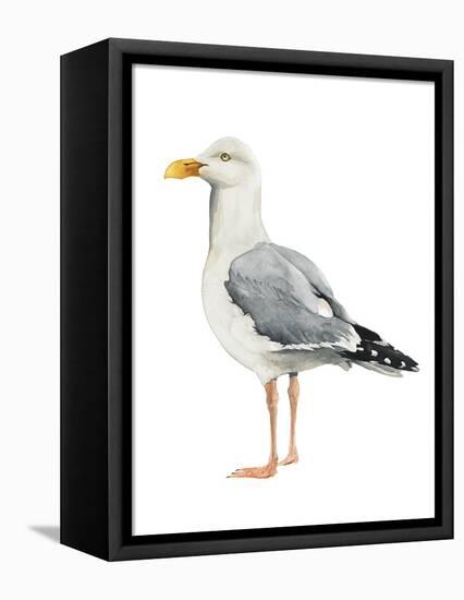 Sea Bird II-Grace Popp-Framed Stretched Canvas