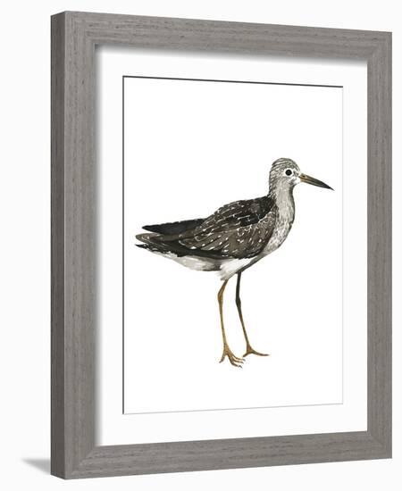 Sea Bird III-Grace Popp-Framed Art Print