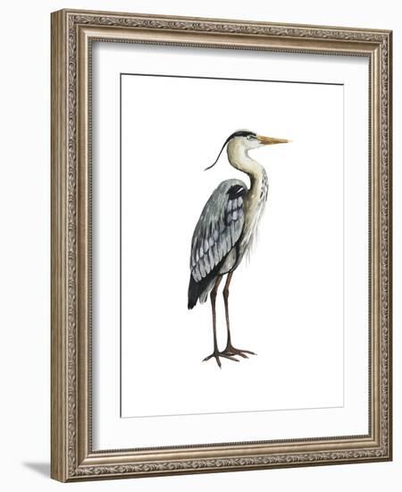 Sea Bird V-Grace Popp-Framed Art Print