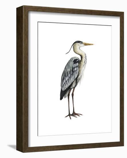 Sea Bird V-Grace Popp-Framed Art Print