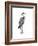 Sea Bird V-Grace Popp-Framed Art Print