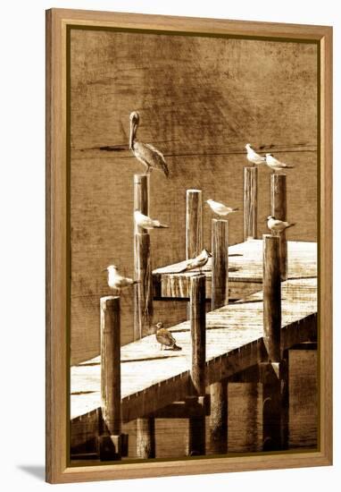 Sea Birds I-Alan Hausenflock-Framed Stretched Canvas