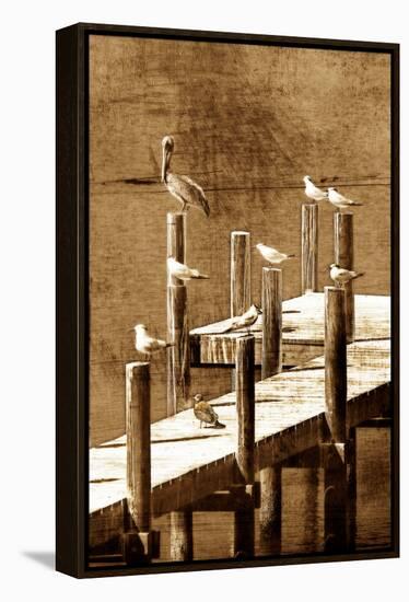 Sea Birds I-Alan Hausenflock-Framed Stretched Canvas