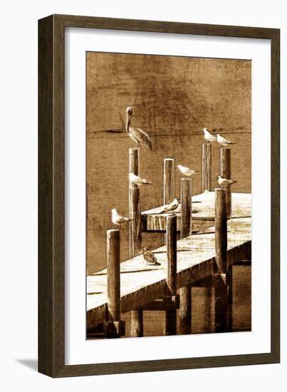 Sea Birds I-Alan Hausenflock-Framed Photographic Print