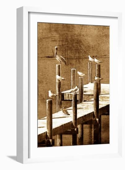 Sea Birds I-Alan Hausenflock-Framed Photographic Print