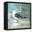 Sea Birds I-Gregory Gorham-Framed Stretched Canvas