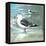 Sea Birds I-Gregory Gorham-Framed Stretched Canvas