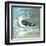 Sea Birds I-Gregory Gorham-Framed Art Print