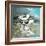 Sea Birds II-Gregory Gorham-Framed Art Print