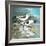 Sea Birds II-Gregory Gorham-Framed Art Print