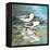 Sea Birds II-Gregory Gorham-Framed Stretched Canvas