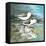 Sea Birds II-Gregory Gorham-Framed Stretched Canvas