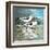 Sea Birds II-Gregory Gorham-Framed Art Print