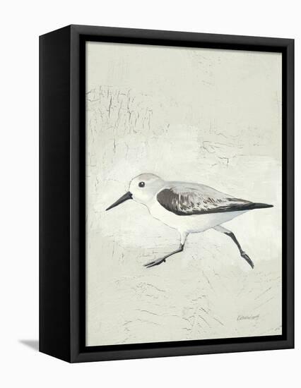 Sea Birds II-Kathrine Lovell-Framed Stretched Canvas