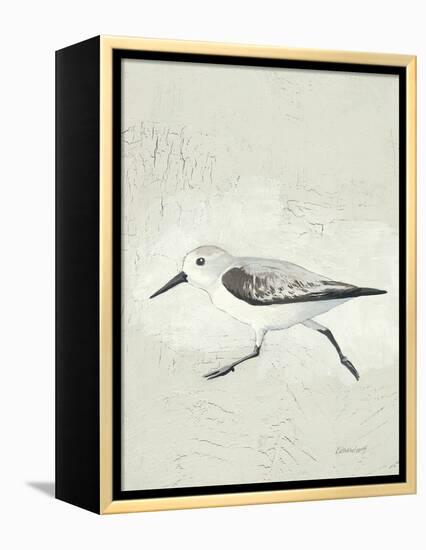 Sea Birds II-Kathrine Lovell-Framed Stretched Canvas