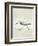 Sea Birds II-Kathrine Lovell-Framed Art Print