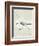 Sea Birds II-Kathrine Lovell-Framed Art Print