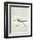 Sea Birds II-Kathrine Lovell-Framed Art Print