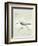 Sea Birds II-Kathrine Lovell-Framed Art Print