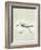 Sea Birds II-Kathrine Lovell-Framed Art Print