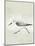 Sea Birds II-Kathrine Lovell-Mounted Art Print