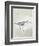 Sea Birds III-Kathrine Lovell-Framed Art Print