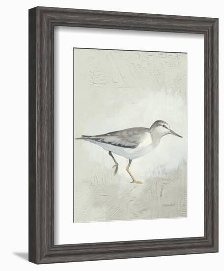 Sea Birds III-Kathrine Lovell-Framed Art Print