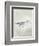 Sea Birds III-Kathrine Lovell-Framed Art Print