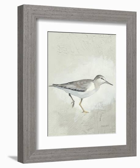 Sea Birds III-Kathrine Lovell-Framed Art Print