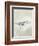 Sea Birds III-Kathrine Lovell-Framed Art Print