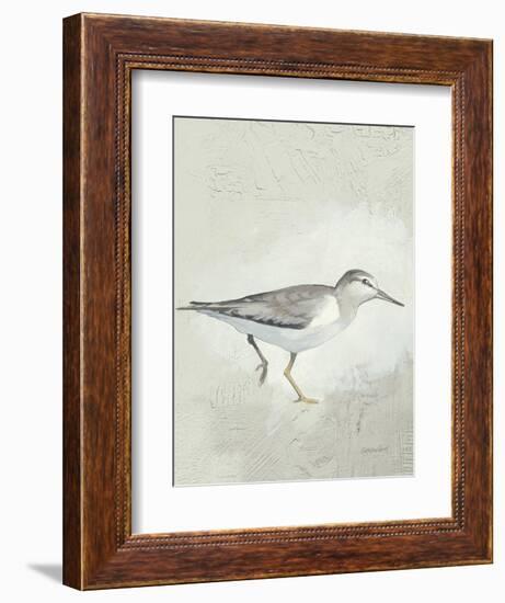 Sea Birds III-Kathrine Lovell-Framed Art Print