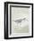 Sea Birds III-Kathrine Lovell-Framed Art Print