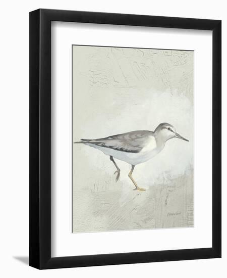 Sea Birds III-Kathrine Lovell-Framed Art Print