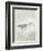 Sea Birds III-Kathrine Lovell-Framed Art Print