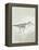 Sea Birds III-Kathrine Lovell-Framed Stretched Canvas