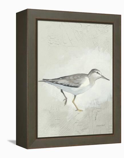 Sea Birds III-Kathrine Lovell-Framed Stretched Canvas