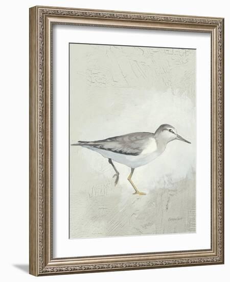 Sea Birds III-Kathrine Lovell-Framed Art Print