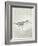 Sea Birds III-Kathrine Lovell-Framed Art Print