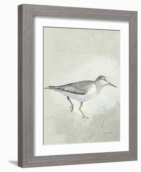 Sea Birds III-Kathrine Lovell-Framed Art Print