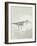 Sea Birds III-Kathrine Lovell-Framed Art Print