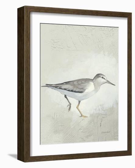 Sea Birds III-Kathrine Lovell-Framed Art Print