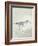 Sea Birds III-Kathrine Lovell-Framed Art Print