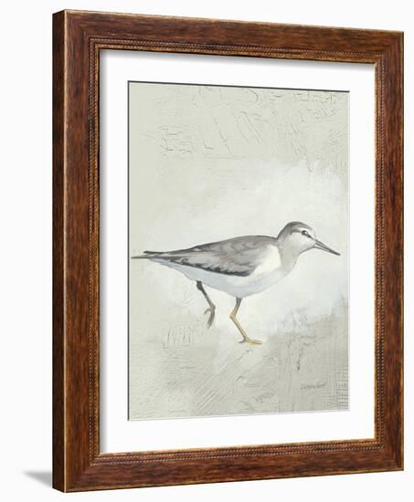 Sea Birds III-Kathrine Lovell-Framed Art Print