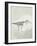 Sea Birds III-Kathrine Lovell-Framed Art Print