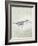 Sea Birds III-Kathrine Lovell-Framed Art Print