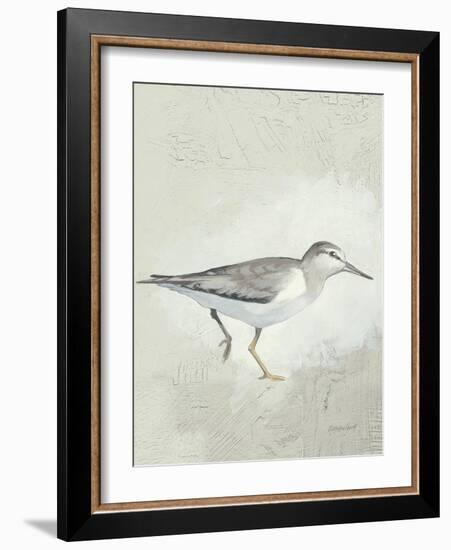 Sea Birds III-Kathrine Lovell-Framed Art Print